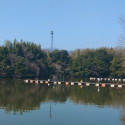 久しぶりの大安トラウトレイク